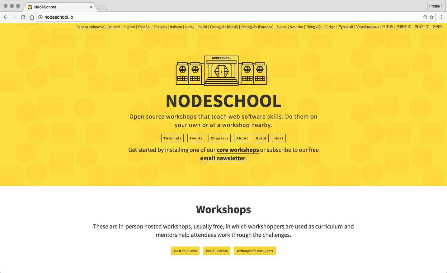 a screenshot of the beautiful current nodeschool homepage